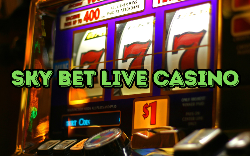 live casino